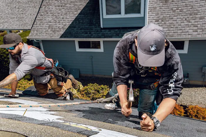 The Roof Doctor Picture 3