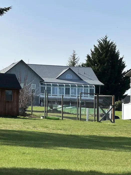 The Roof Doctor Picture 8