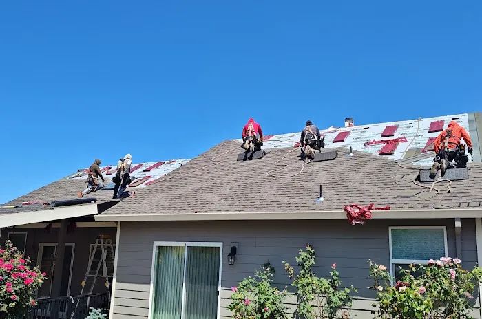 The Roof Doctor Picture 4