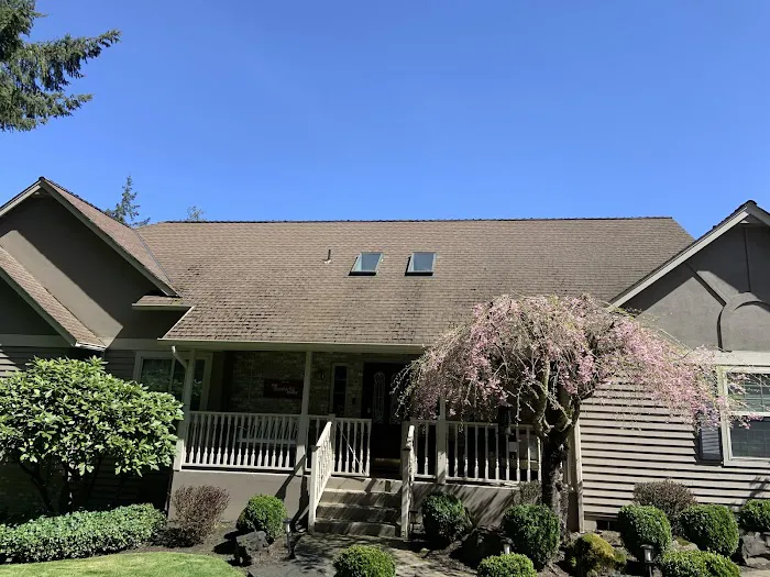 Taurus Roofing Picture 4