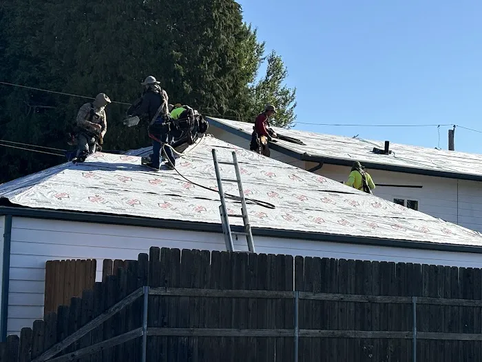 Taurus Roofing Picture 5