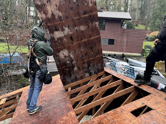 Taurus Roofing Picture 3