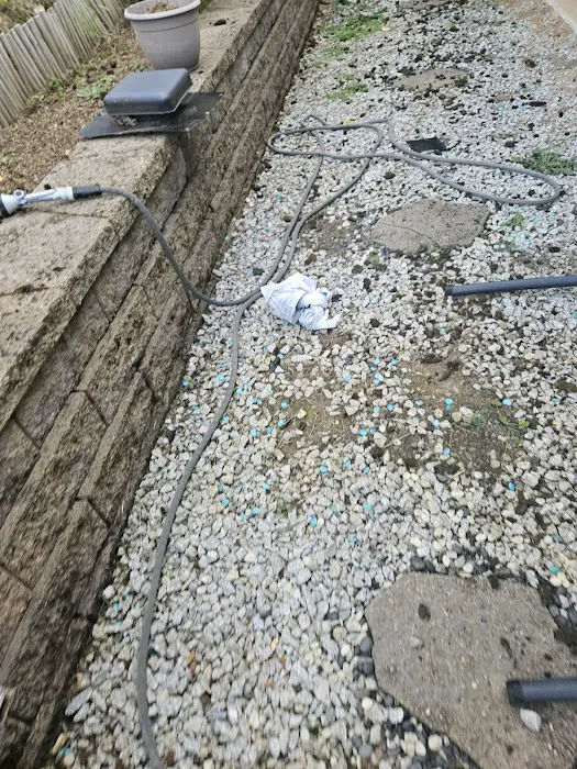 iDeal Roofing Picture 6