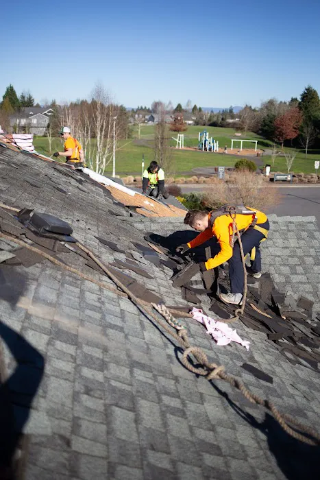 Lohner Construction Picture 2