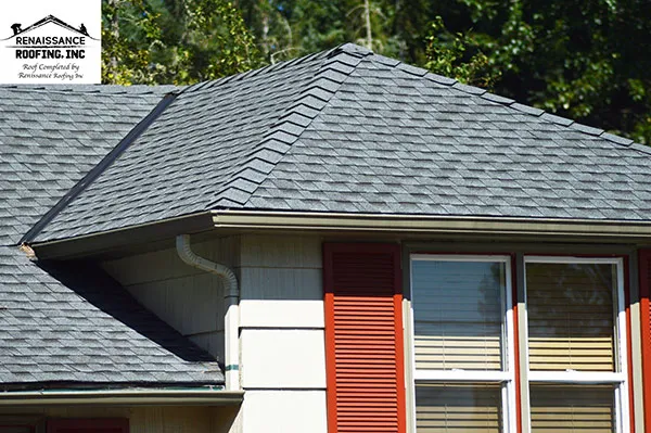Renaissance Roofing Inc Picture 1