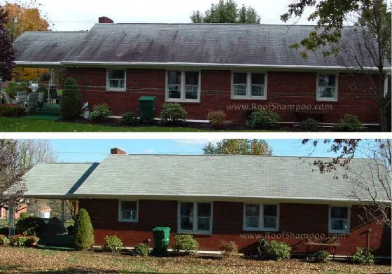 First Aid Roof Care Picture 1