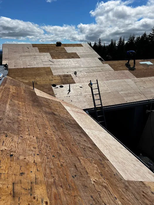 EMDF Roofing, LLC Picture 8