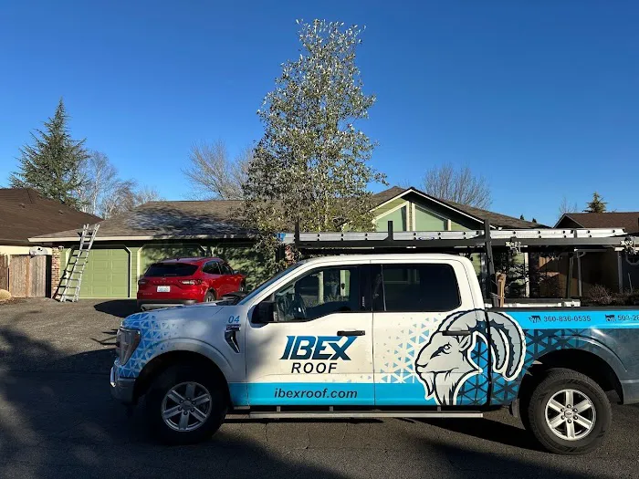 IBEX Roof Longview Picture 8