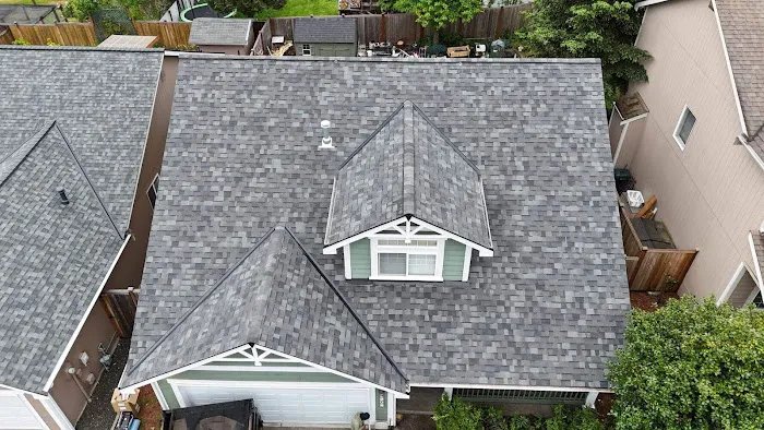 IBEX Roof Longview Picture 2