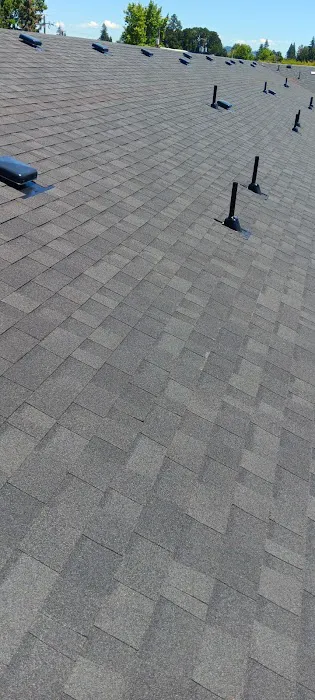 Nixon Roofing and Construction Picture 2