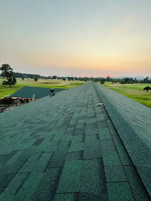 IronHead Roofing Picture 5