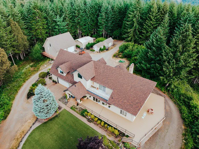 IronHead Roofing Picture 9