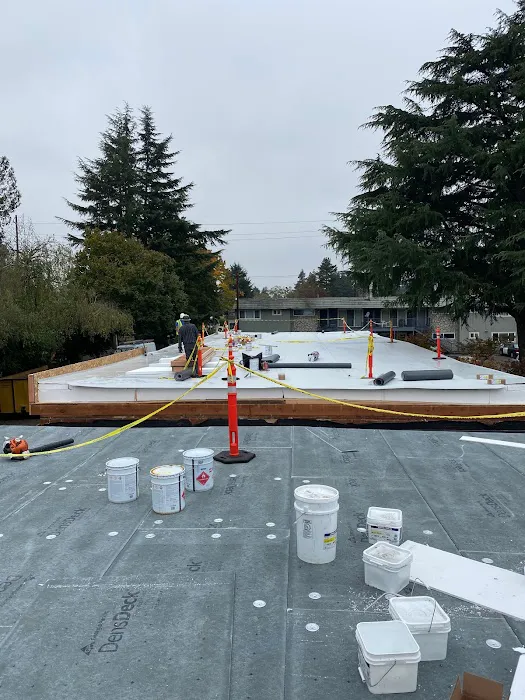 IronHead Roofing Picture 7