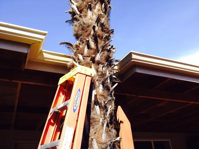 AMERICAN SEAMLESS GUTTERING INC Picture 2