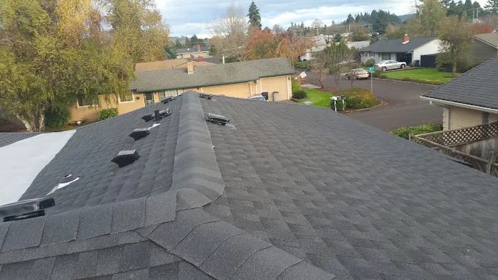 Roman Roofing and Construction Llc Picture 3