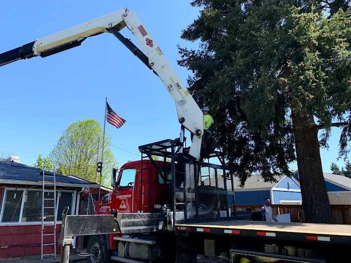 Above The Rest Picture 4