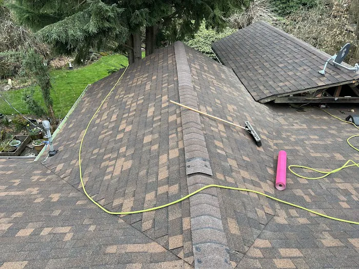 Prohome Roofers Picture 7