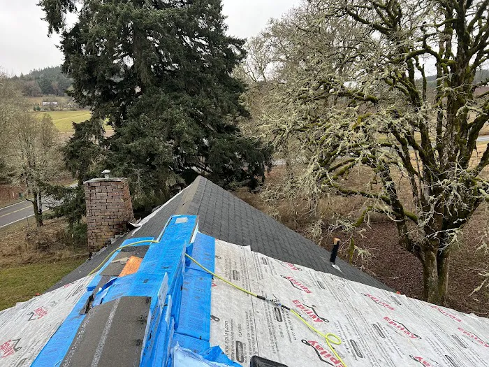 Prohome Roofers Picture 6