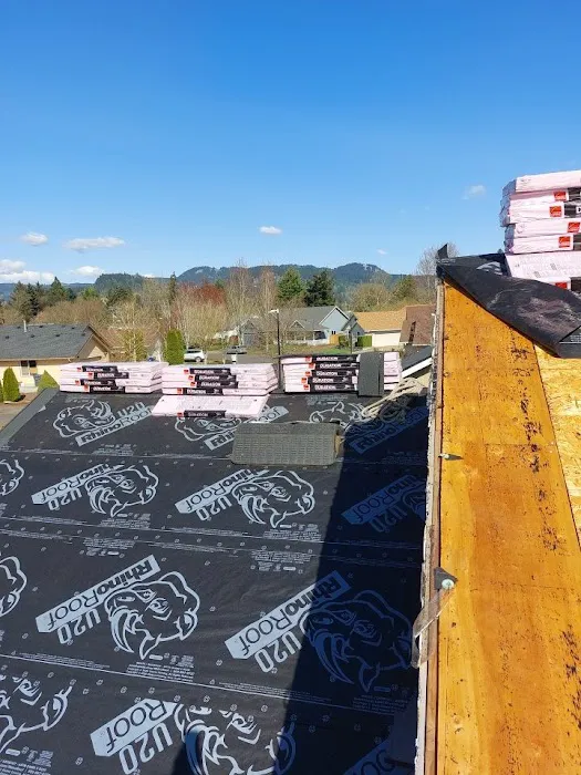 BEST Roofing & Waterproofing Picture 1