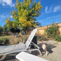 Home Pros Construction ico