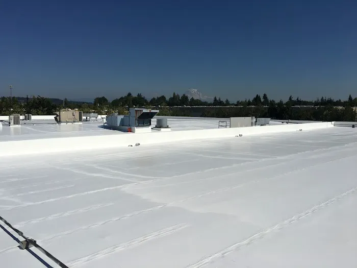 Chase Roofing Picture 1