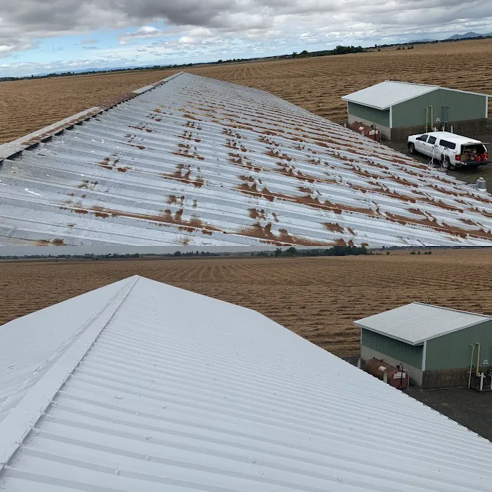 Chase Roofing Picture 6