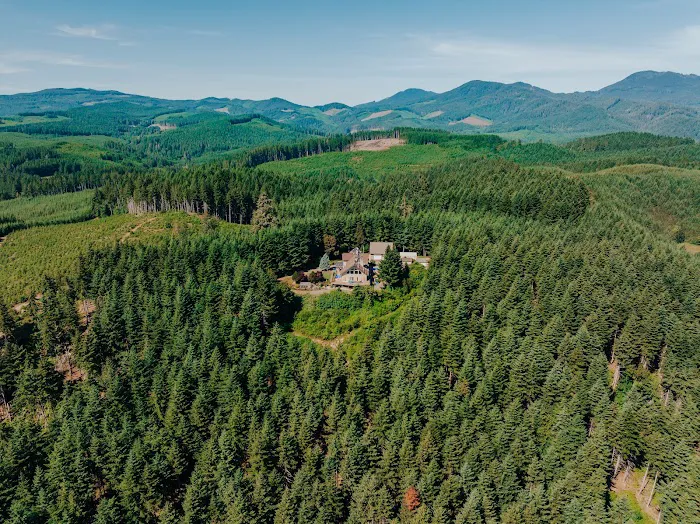 IronHead Roofing Picture 4