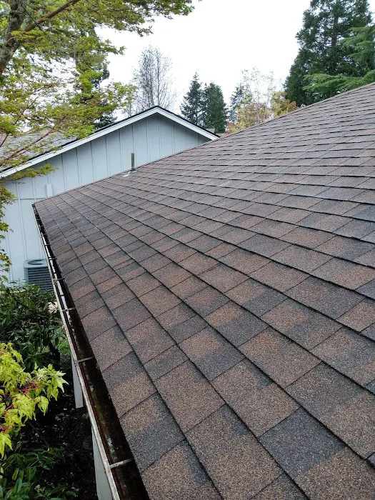 Alpha Roof Care Picture 5
