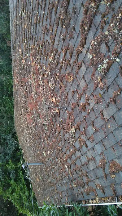 Alpha Roof Care Picture 8