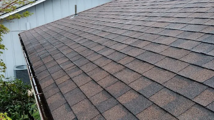 Alpha Roof Care Picture 2