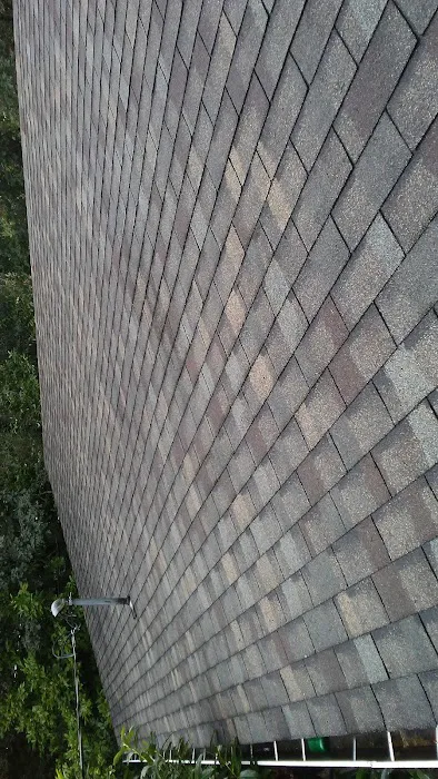 Alpha Roof Care Picture 7