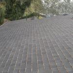 Alpha Roof Care