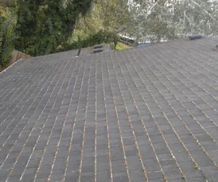 Alpha Roof Care