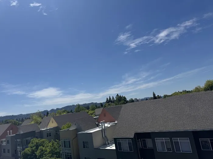 ROOF PROTECTOR & CONSTRUCTION LLC Picture 4