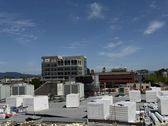 ROOF PROTECTOR & CONSTRUCTION LLC Picture 7