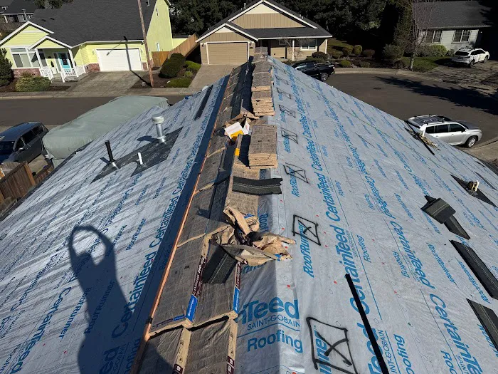 ROOF PROTECTOR & CONSTRUCTION LLC Picture 2