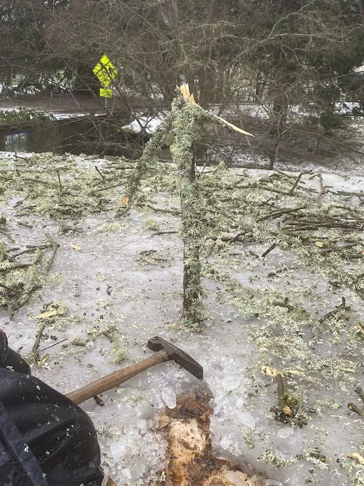 Gruwell Roofing & Restoration Picture 2