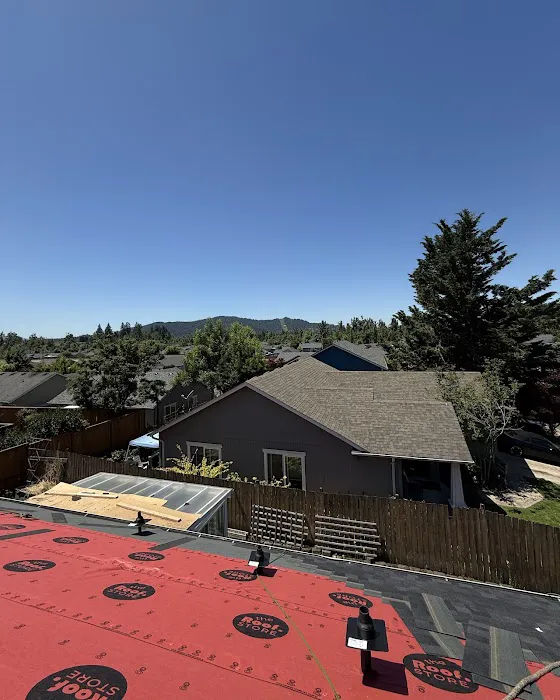 Buzzline Roofing Picture 4