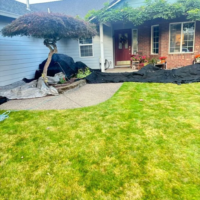 Buzzline Roofing Picture 5