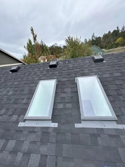 Buzzline Roofing Picture 10