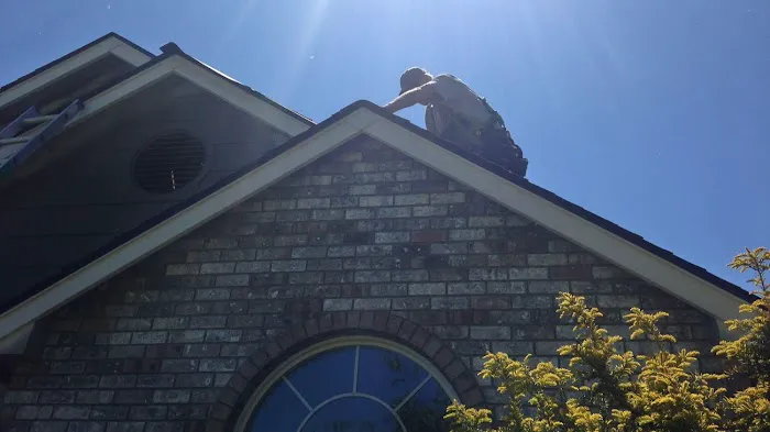 Buzzline Roofing Picture 9