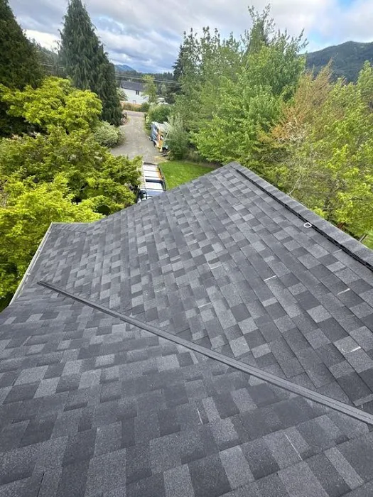 Buzzline Roofing Picture 3