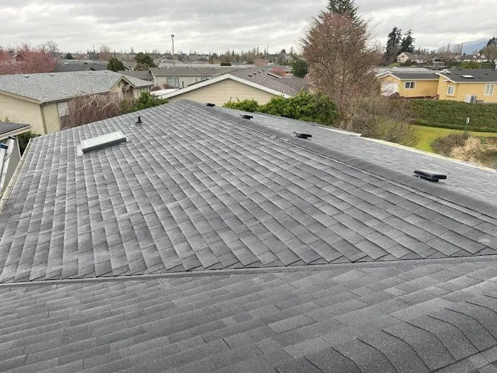Buzzline Roofing Picture 7