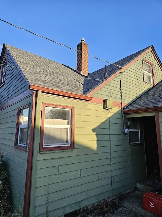 Bonn Roof Care Picture 1