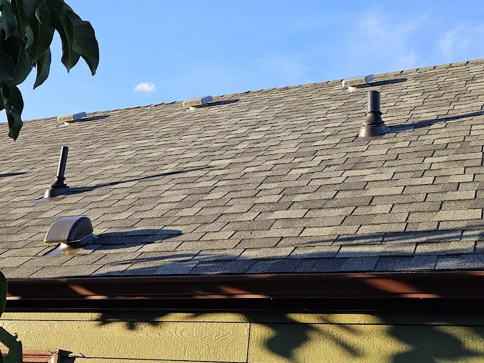 Bonn Roof Care Picture 2