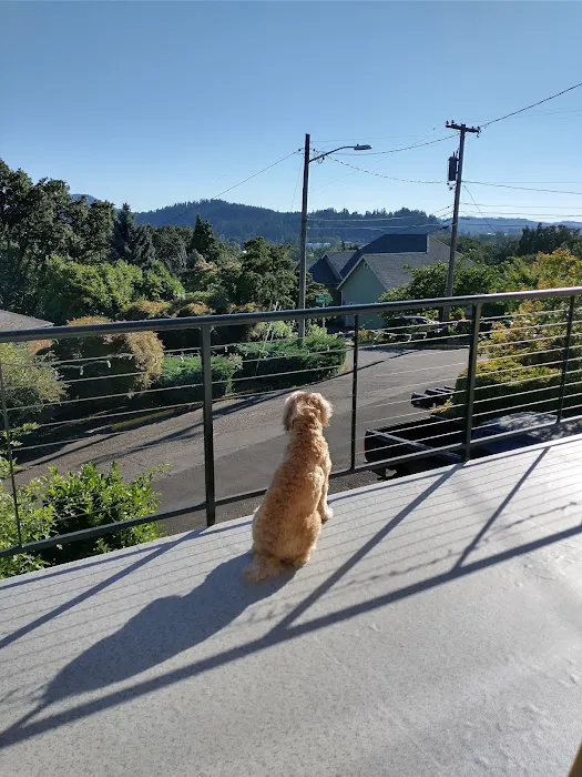 Armadillo Roofing Inc. Picture 1