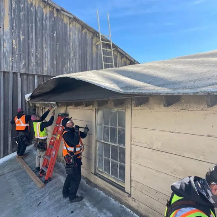 Armadillo Roofing Inc. Picture 7