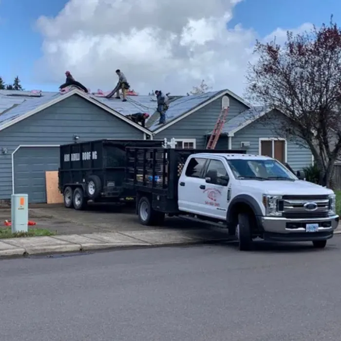 Armadillo Roofing Inc. Picture 6