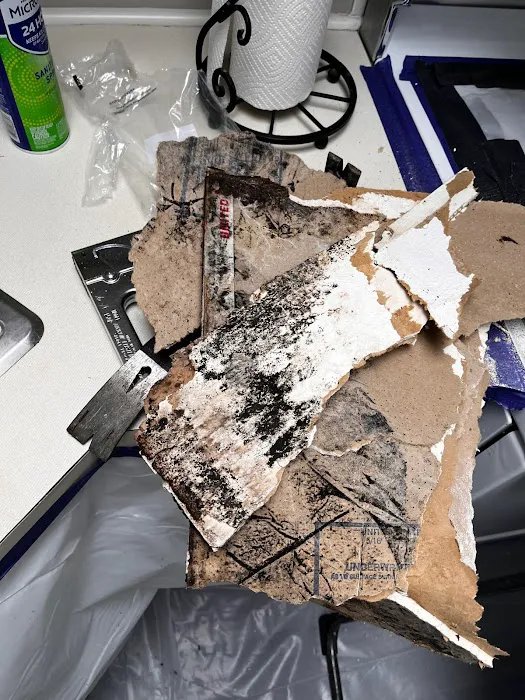 #1 Northwest, Inc Picture 1