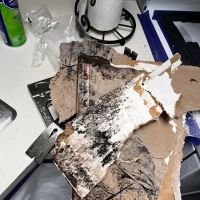 #1 Northwest, Inc ico